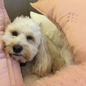 Meet your Posher, Mary